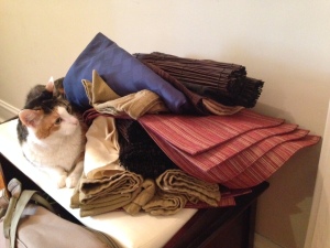 Tink, reviewing our placemats and napkins to see if any are worth keeping. Such a big help, that kitty...
